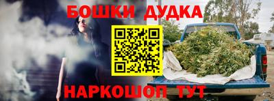 молекула духа Заводоуковск
