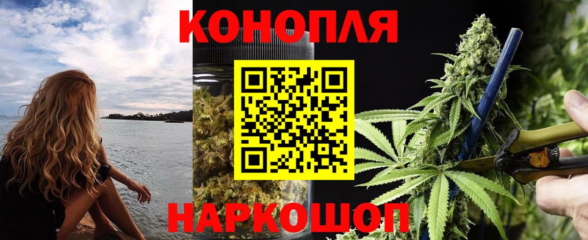 Марихуана план Луховицы